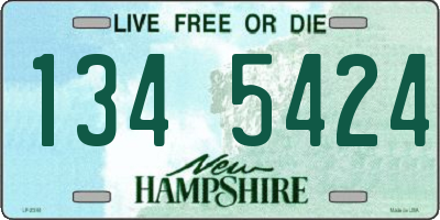 NH license plate 1345424