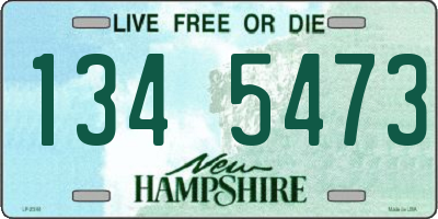 NH license plate 1345473