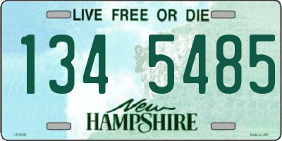 NH license plate 1345485