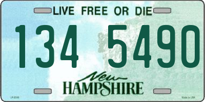NH license plate 1345490