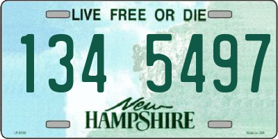 NH license plate 1345497