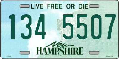 NH license plate 1345507