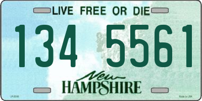 NH license plate 1345561