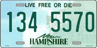 NH license plate 1345570