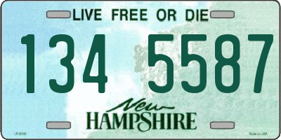 NH license plate 1345587
