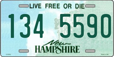 NH license plate 1345590