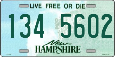 NH license plate 1345602