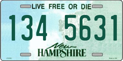 NH license plate 1345631