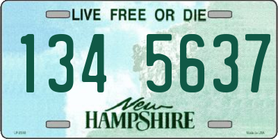 NH license plate 1345637