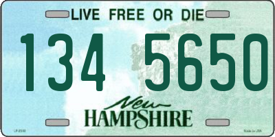 NH license plate 1345650