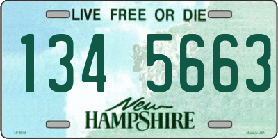 NH license plate 1345663