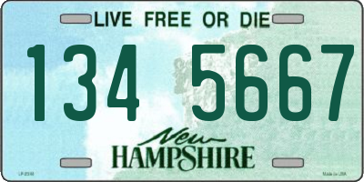 NH license plate 1345667