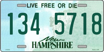 NH license plate 1345718