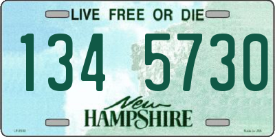 NH license plate 1345730