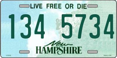 NH license plate 1345734