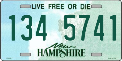 NH license plate 1345741