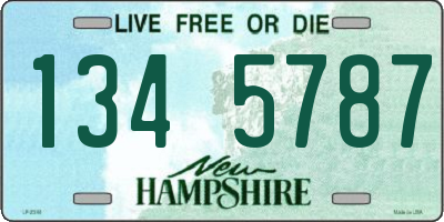NH license plate 1345787