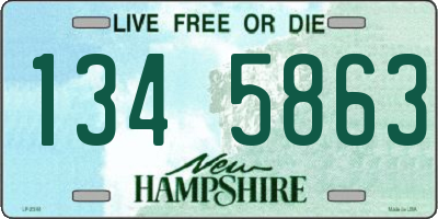 NH license plate 1345863