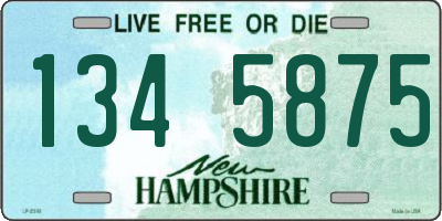 NH license plate 1345875