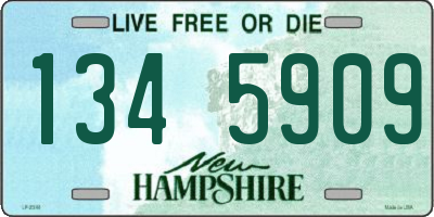 NH license plate 1345909