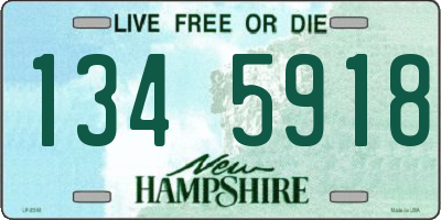 NH license plate 1345918