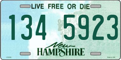 NH license plate 1345923