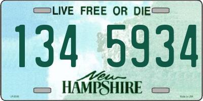 NH license plate 1345934