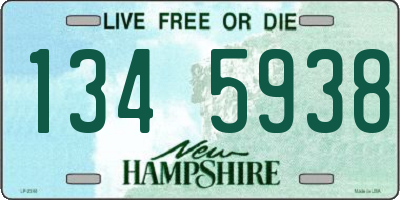NH license plate 1345938