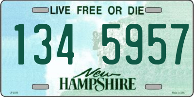 NH license plate 1345957