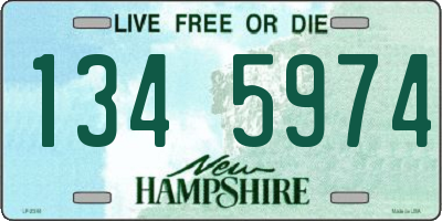 NH license plate 1345974