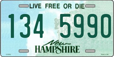 NH license plate 1345990