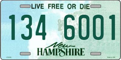 NH license plate 1346001