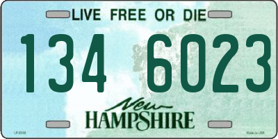 NH license plate 1346023