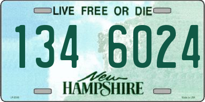 NH license plate 1346024