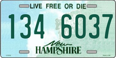 NH license plate 1346037