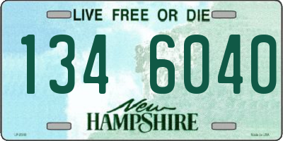 NH license plate 1346040