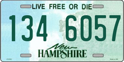 NH license plate 1346057