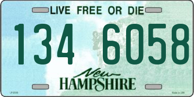 NH license plate 1346058