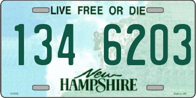NH license plate 1346203
