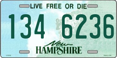 NH license plate 1346236
