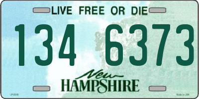 NH license plate 1346373