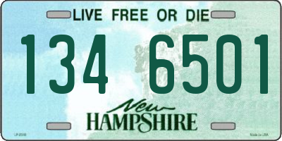 NH license plate 1346501