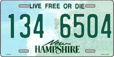NH license plate 1346504