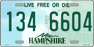NH license plate 1346604
