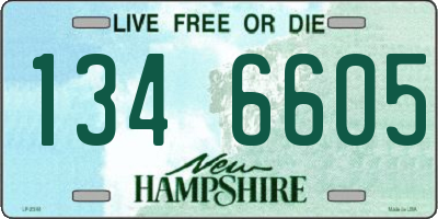 NH license plate 1346605
