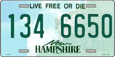 NH license plate 1346650