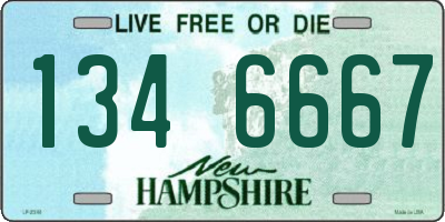 NH license plate 1346667