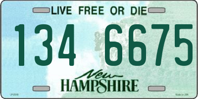 NH license plate 1346675