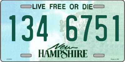 NH license plate 1346751