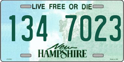 NH license plate 1347023